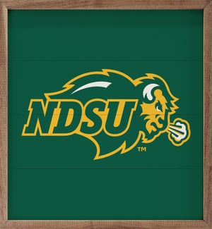 Bold Mascot North Dakota State University